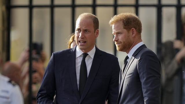 Prince William ‘rankled’ by brother Harry’s latest move as it was something he ‘long-hoped’ to do, but wasn't allowed (AP Photo/Martin Meissner, File)