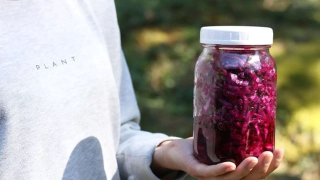 New study says sauerkraut does more than add tang, it could fight gut inflammation.