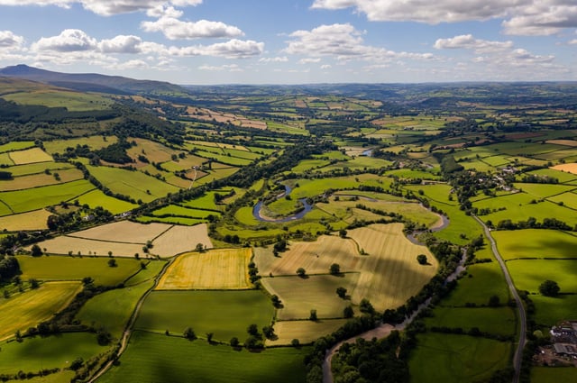 image: © WhitcombeRD | iStock