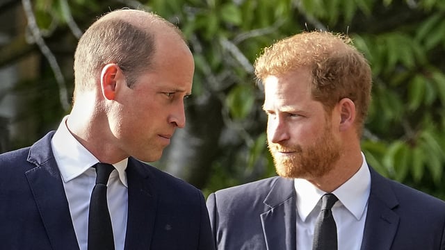 Princes William left 'frustrated' at palace officials after Prince Harry's surprise Ukraine visit