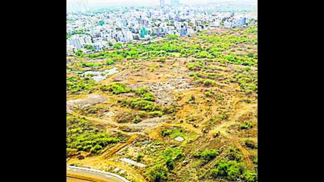 Excavators being used by the Telangana Government to clear the debris of the deforestation after the Supreme Court halted the felling of trees in 400 acres of forested land in the Kancha Gachibowli area, in Hyderabad, Friday, on April 4. (PTI)