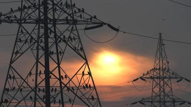 Last year, peak summer demand crossed 9,000MW. (Photo for representation)