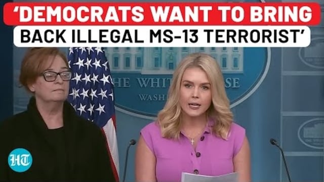 'DEMOCRATS WANT TO BRING BACK ILLEGAL MS-13 TERRORIST'