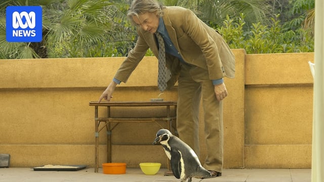 Steve Coogan crouches above a small penguin, pointing instructively, looking annoyed