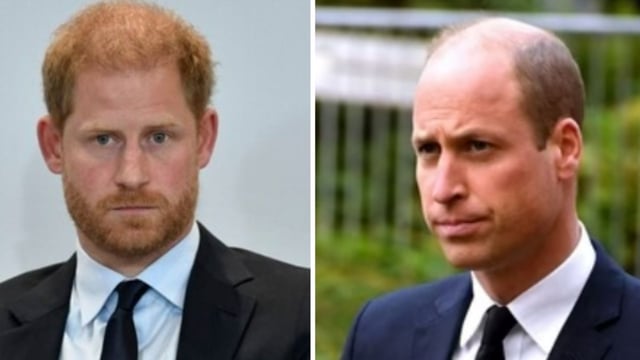 Prince Harry accused of ‘deliberately’ planning THIS trip to ‘annoy’ William (AP/PTI, Andy Kelvin/PA via AP)