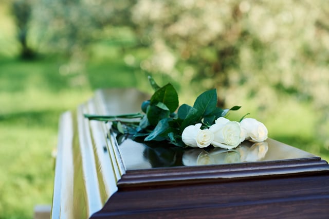 Stock image: Focus on a bunch of several fresh white roses lying on top of closed lid of wooden coffin standing in front of camera at modern graveyard.