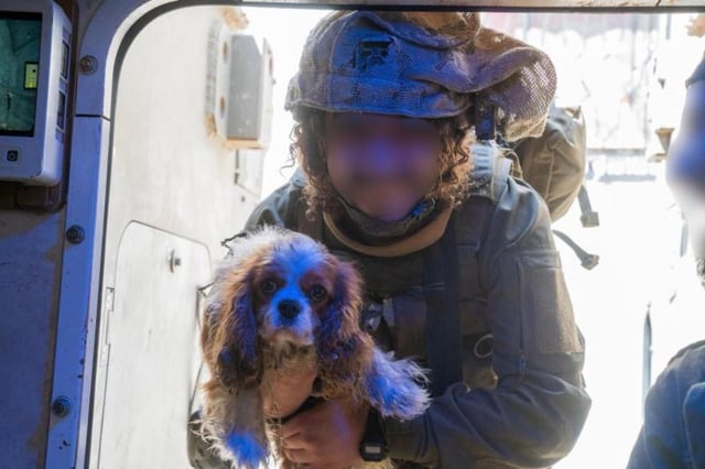 A photo of Aviad, a member of the Israel Defense Forces, with the Cavalier King Charles Spaniel he found wondering the ruins in Rafah.