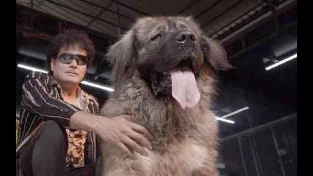 S Satish with the dog (HT photo)