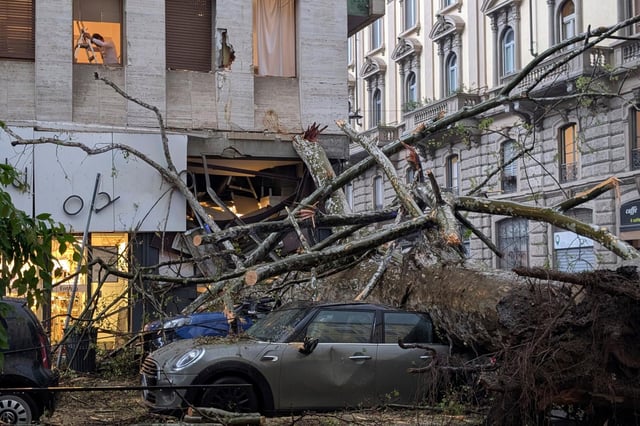 Umgestürzte Bäume in Mailand