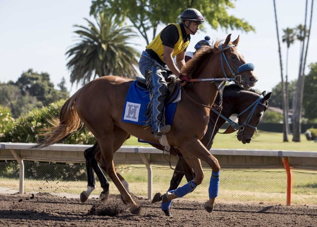 Two race horses being trained at the Alameda County Fairgrounds in Pleasanton, 2019. Up north, the Sonoma County Fair is canceling its horse race this year. 
