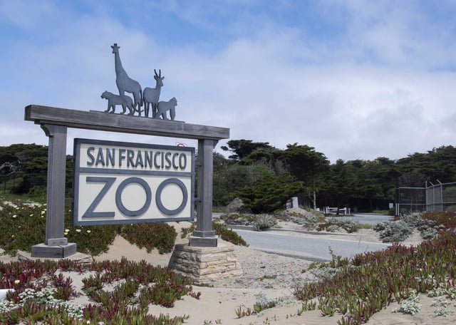 San Francisco Zoo announced it now expects to receive a pair of giant pandas from China by April 2026. 