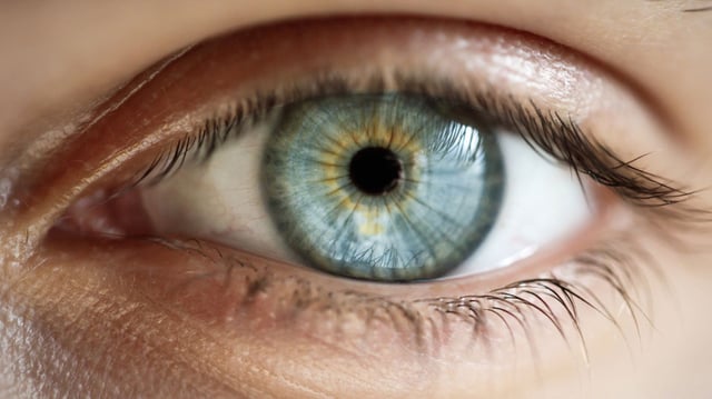 The colors we perceive have been dictated by the intricate workings of our eyes.