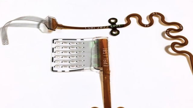 The soft auditory brainstem implant (ABI) developed at EPFL is designed to gently conform to brain tissue, enhancing signal precision and patient comfort.