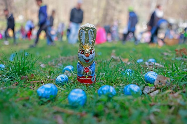 Ein Schokoladenhase auf einem grünen Rasen von blau gefärbten Eiern umgeben. Im Hintergrund suchen Menschen nach Ostereiern