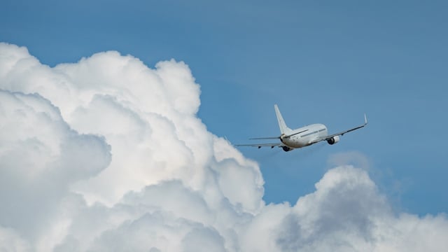 A small single-engine plane carrying four people crashed in Trilla, Coles County, Illinois.