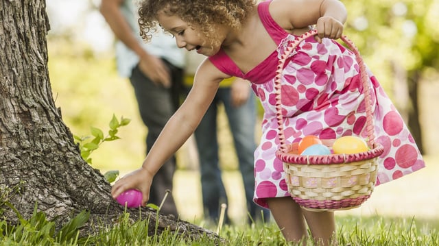 The first Easter egg hunt is believed to have been around the 17th century.