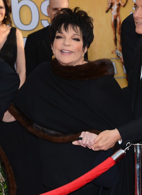 Actress-singer Liza Minnelli attends the 20th Annual Screen Actors Guild Awards in Los Angeles, California.