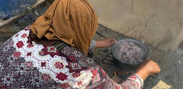 Dans Gaza affamée, des Palestiniens se rabattent sur la viande de tortue