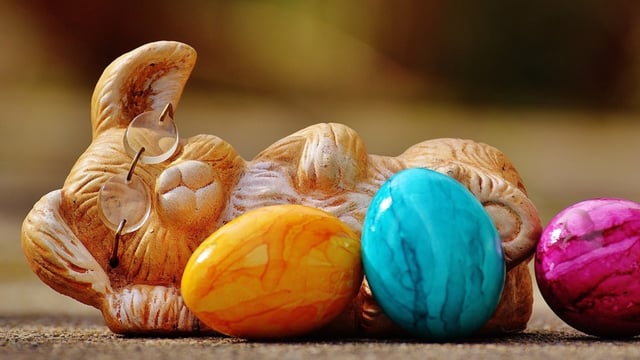Where did the Easter Bunny originate and when did it come to America? (Pixabay - representational image)