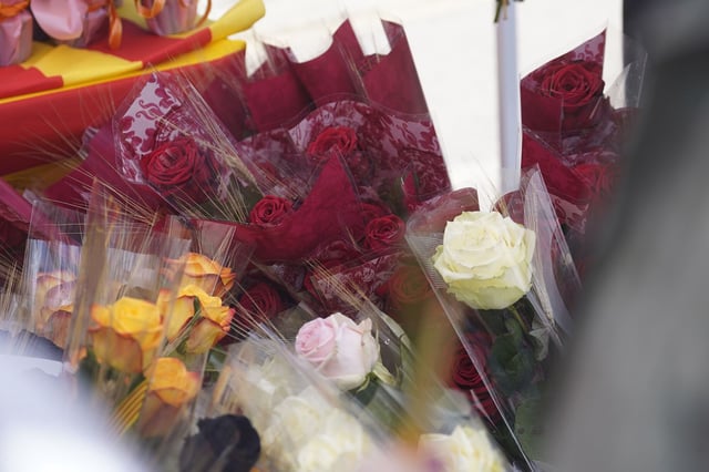 Rosas de Sant Jordi