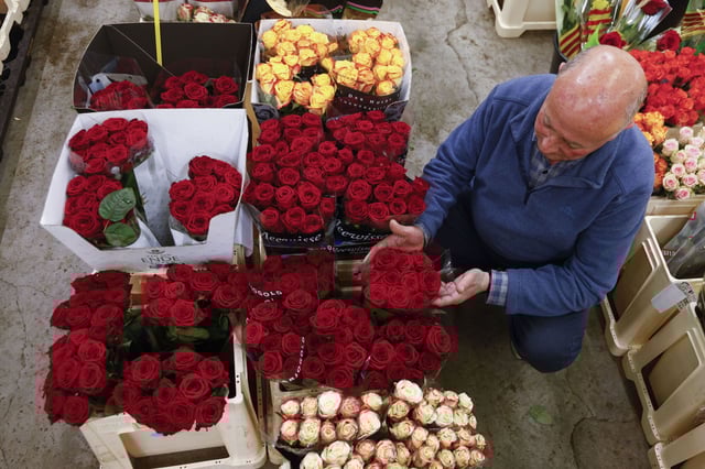 Una persona trabaja en Mercabarna-Flor donde se prevé, para este Sant Jordi, que se vendan alrededor de siete millones de rosas, cuya procedencia será mayoritariamente extranjera.