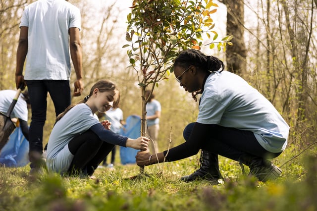 Two activists work together to plant more trees and greenery, filling up ground holes and growing vegetation.