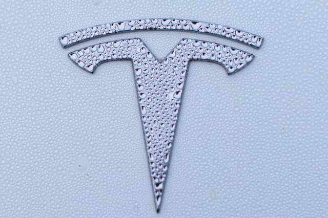 A Tesla logo is shown on a Model Y vehicle in Encinitas, California, U.S.,October 20, 2023.     REUTERS/Mike Blake