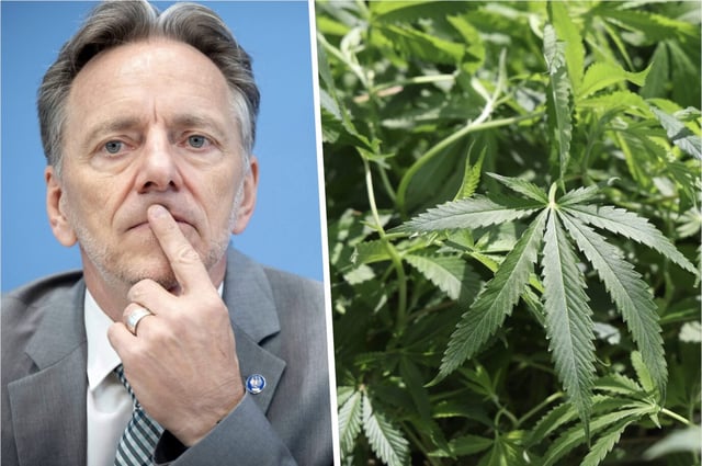 Links legt der BKA-Präsident Holger Münch seinen Zeigefinger sorgenvoll auf seinen Mund, daneben sind Cannabispflanzen mit ihrer typischen Blattform zu sehen