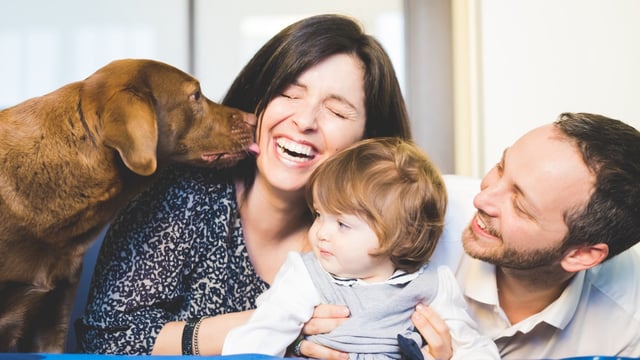 Control probably plays a key role in humans’ enjoyment of the owner-dog dynamic, the researchers believe
