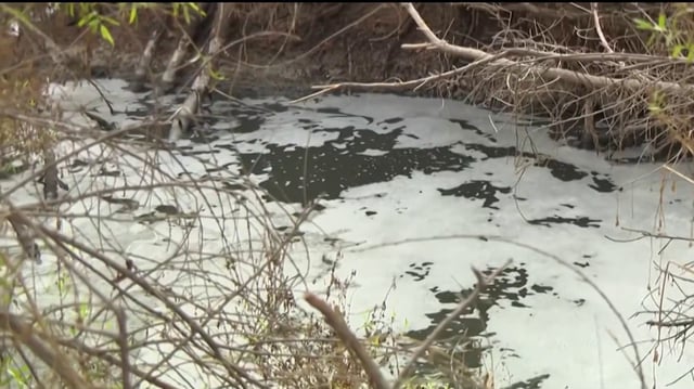FILE. Sewage-laden sludge in the Tijuana River valley. 