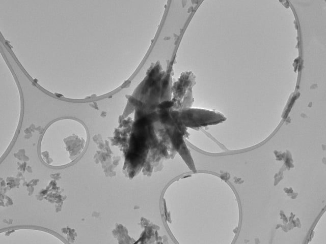 Nanoplastic particles from carotid-artery plaque, with a measurement key at the bottom in nanometers.