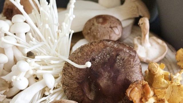 Harvest NYC Inc. has recalled 200g packages of ‘Enoki Mushroom' over listeria risk.