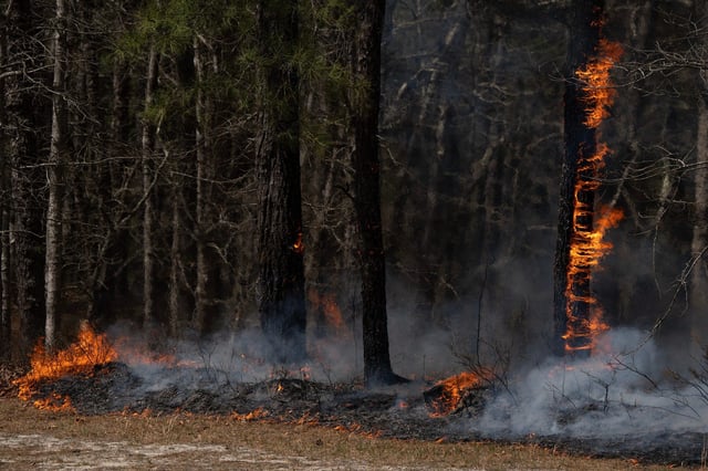 A wildfire burns in the Pinelands Forest near Ocean Township, New Jersey on Tuesday, April 22, 2025