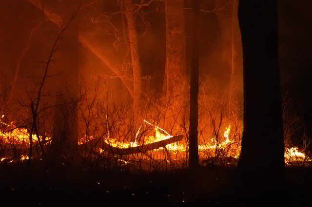 A fire burns on Tuesday, April 22, 2025, near Waretown, N.J. (AP Photo/Chris Szagola)