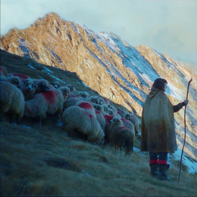 This image released by A24 shows Emily Watson in a scene from "The Legend of Ochi." (A24 via AP)