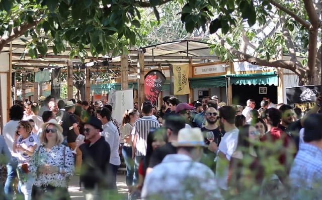 La Mostra de Proava celebra su trigésimo quinta edición en el cauce del río Turia.