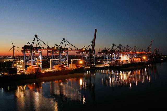 Container ships are seen at the loading terminal "Altenwerder" in the port of Hamburg, Germany, February 17, 2025. Picture taken with a drone. REUTERS/Fabian Bimmer