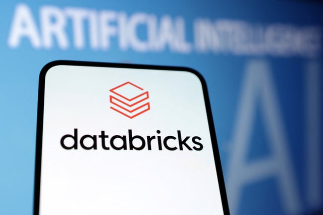 Databricks logo is seen in this illustration taken December 17, 2024. REUTERS/Dado Ruvic/Illustration