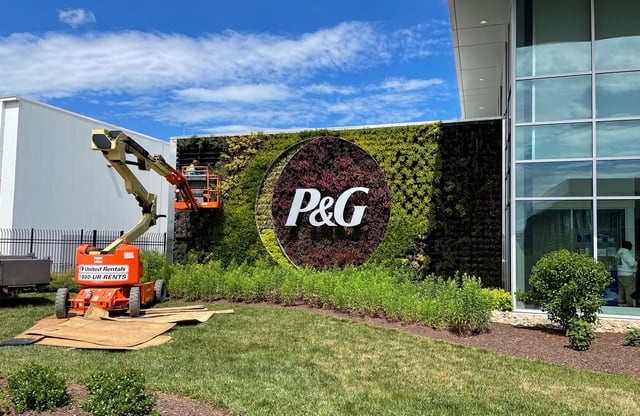 A plant wall with Procter & Gamble's logo is pictured at the entrance to the company's highly automated cleaning products factory in Tabler Station, West Virginia, U.S., May 28, 2021. Picture taken May 28, 2021. REUTERS/Timothy Aeppel/File Photo
