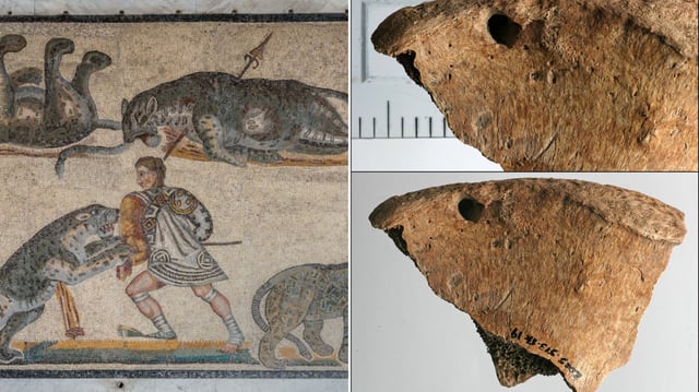 Ein 1800 Jahre altes Skelett in York weist Spuren auf, die auf einen tödlichen Biss durch eine Großkatze hinweisen. (Bildmontage)