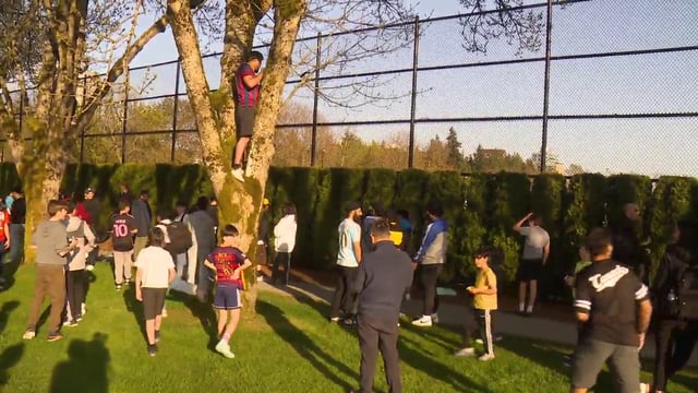 Fans climb trees and press into hedges in hopes of catching a glimpse of Lionel Messi training at UBC on Wednesday, April 23, 2025.