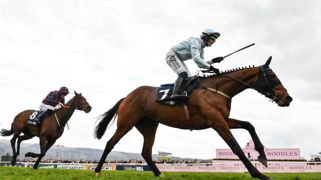 UK revenues from betting on sporting events such as the Cheltenham Festival were dented by the arrival of new protections for gamblers