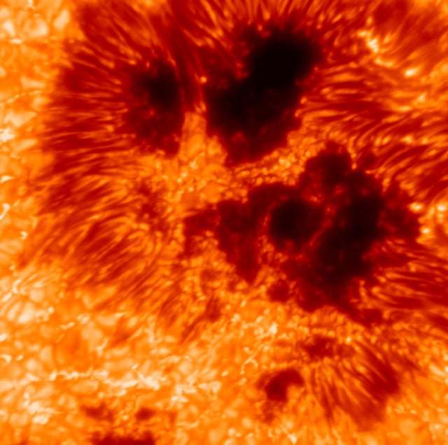 A narrow-band image of the Sun at a wavelength of λ=588.9nm, that of a well known solar sodium line also known as the “NaD line.” The image was acquired during recent first light efforts with the VTF at the Inouye, and shows how precisely the structures within a sunspot are resolved. Each pixel in the original version of the image corresponds to 10 km (or 6.2 miles) on the Sun. (Credit: VTF/KIS/NSF/NSO/AURA)
