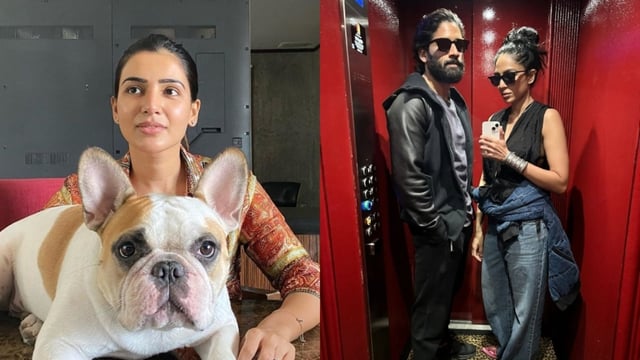 Samantha Ruth Prabhu and Naga Chaitanya share their dog Hash, he is now married to Sobhita Dhulipala. 