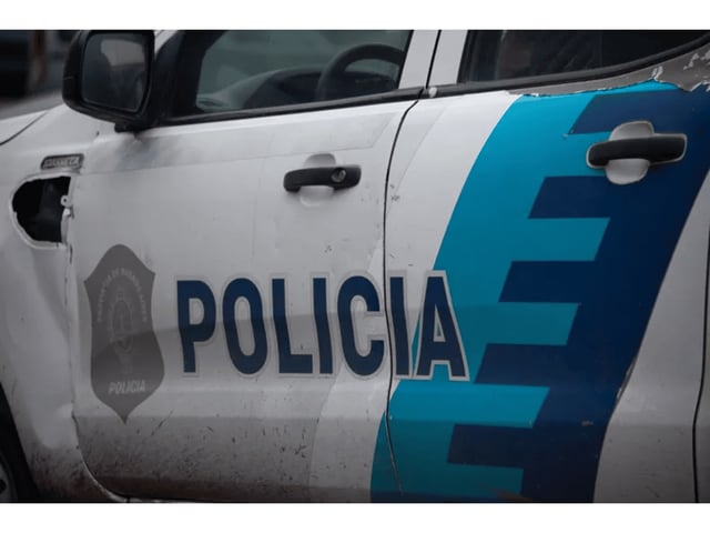 Macabro hallazgo en taller clandestino: secuestraron animales exóticos embalsamados