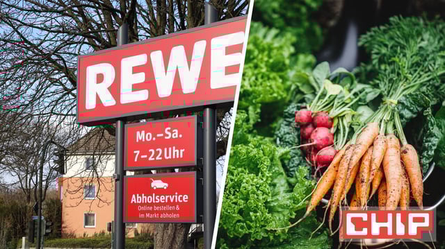Rückruf: Der unter anderem bei Rewe verkaufte Grünkohl kann Fremdkörper enthalten.