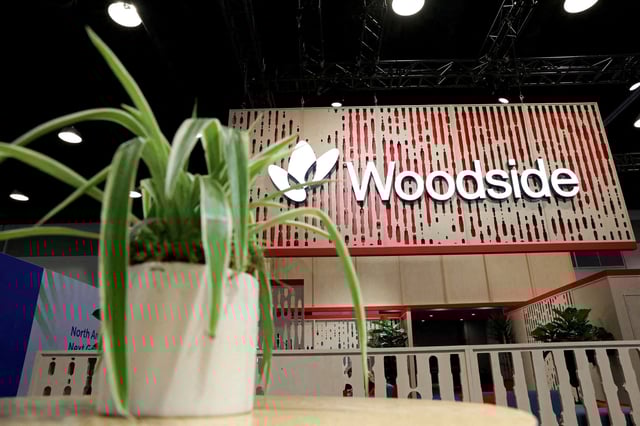 A plant decorates the booth of Australian petroleum exploration and production company Woodside Energy during the LNG 2023 energy trade show in Vancouver, British Columbia, Canada, July 13, 2023. REUTERS/Chris Helgren/File Photo