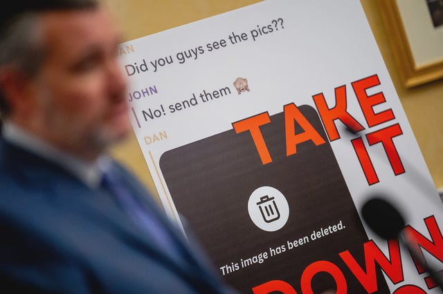 A poster is displayed next to Sen. Ted Cruz as he speaks at a news conference to unveil the Take It Down Act to protect victims against non-consensual intimate image abuse, on Capitol Hill on June 18, 2024 in Washington, D.C.