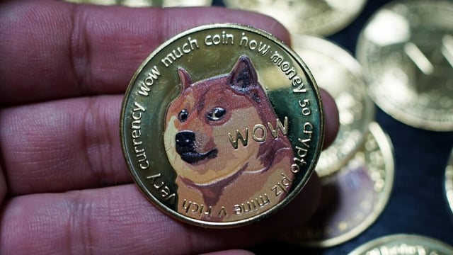 A novelty coin with a picture of the dog from the doge meme.