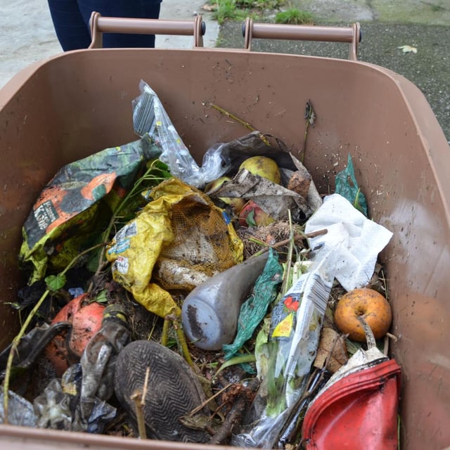 Biomüll mit Plastik